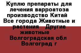 Куплю препараты для лечения варроатоза производство Китай - Все города Животные и растения » Другие животные   . Волгоградская обл.,Волгоград г.